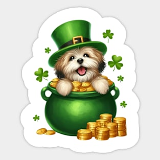 St Patricks Day Havanese Dog Sticker